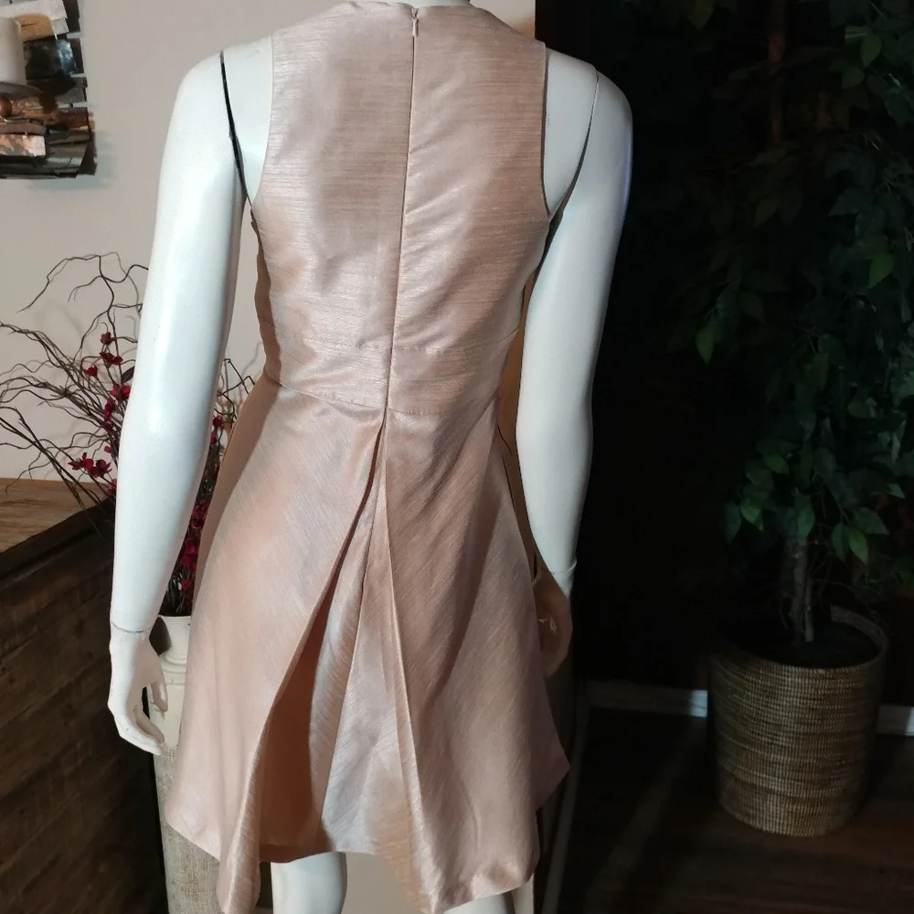 Alfred Sung Pearl Pink Cocktail Dress - Picture 3 of 13